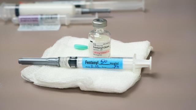 Experimental Vaccine Blocks Fentanyl From Rats’ Brains