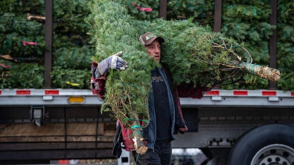 Workers unload a truck with 1,400 Christmas trees at North Pole Xmas Trees in Nashua, New Hampshire on November 17, 2022. (Photo: JOSEPH PREZIOSO/AFP, Getty Images)
