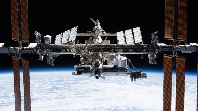 Japanese Researchers Faked Data in Spaceflight Simulation