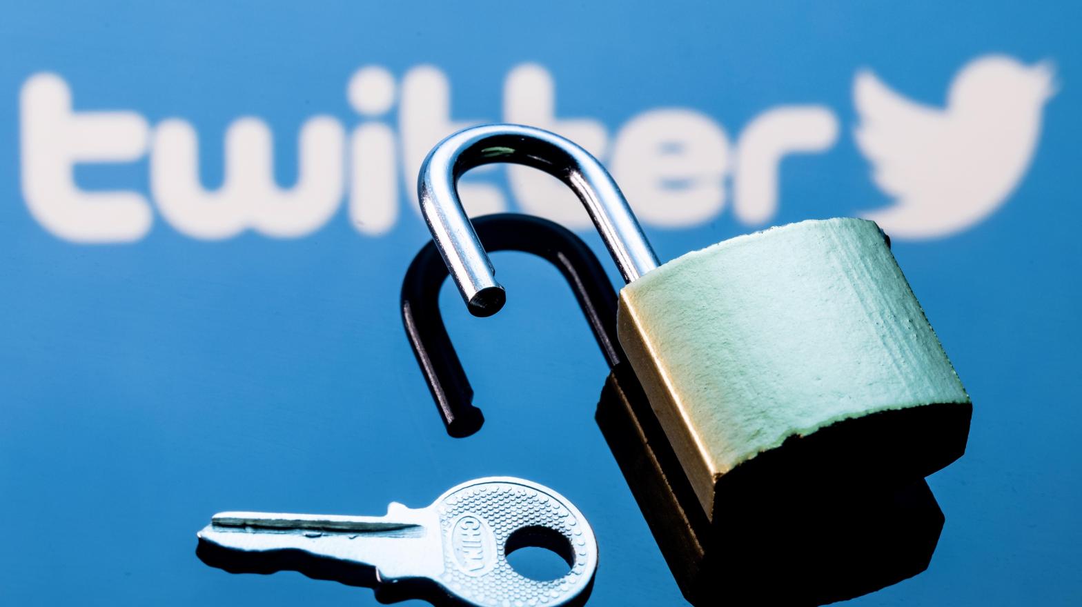 Twitter's security flaw that allowed hackers to steal millions of user records had been patched in August this year, but that hasn't stopped hackers from releasing that data for free online. (Photo: Sergei Elagin, Shutterstock)