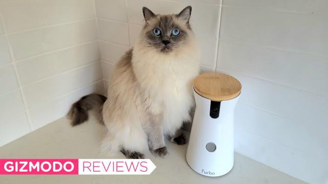 The Furbo Dog Camera Is Perfect for Pet Parents (Like Me) With Separation Anxiety