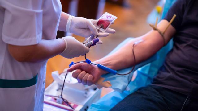 U.S. FDA Will Finally Let More Gay and Bisexual Men Donate Blood, Report Says