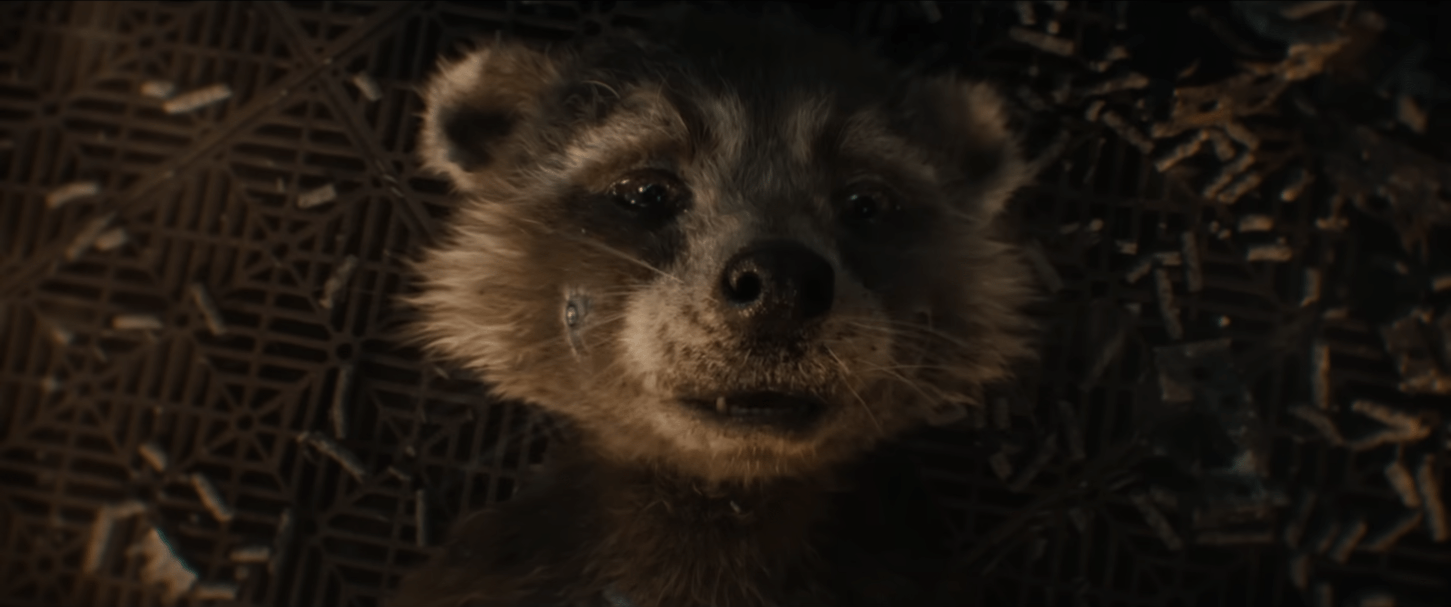 Everything We Saw in the New Guardians of the Galaxy Vol. 3 Trailer