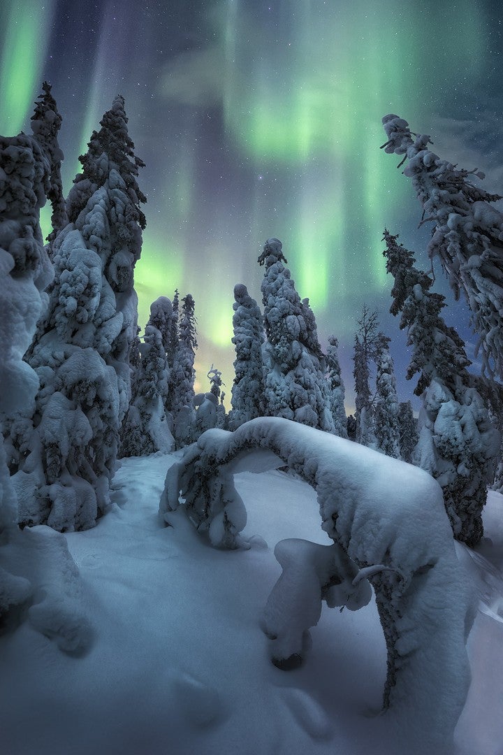 A snowy forest under the Northern Lights. (Photo: Unai Larraya)
