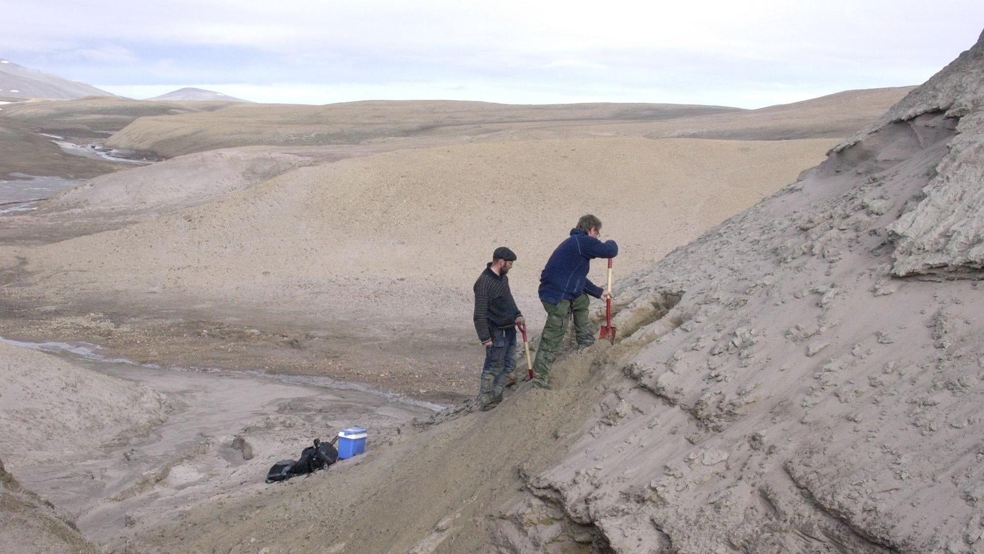 Study co-authors Eske Willerslev and Kurt H. Kjær exposing new sediment layers. (Photo: Svend Funder)