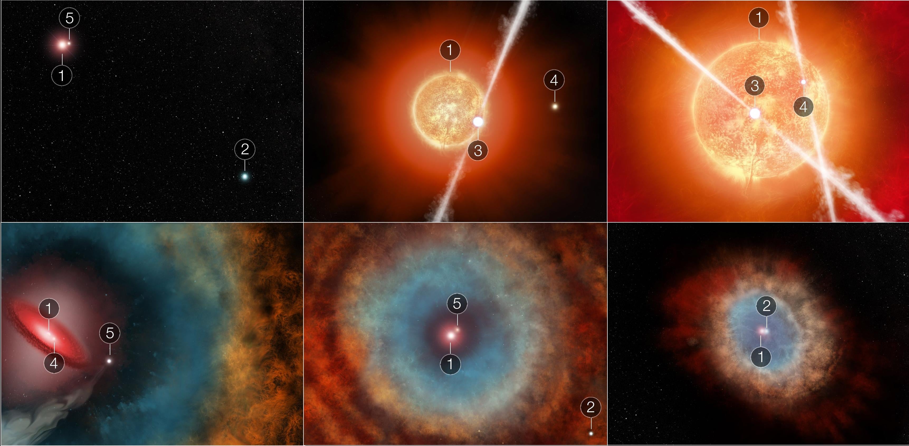 Webb Telescope Reveals a Luminous Stellar Crime Scene