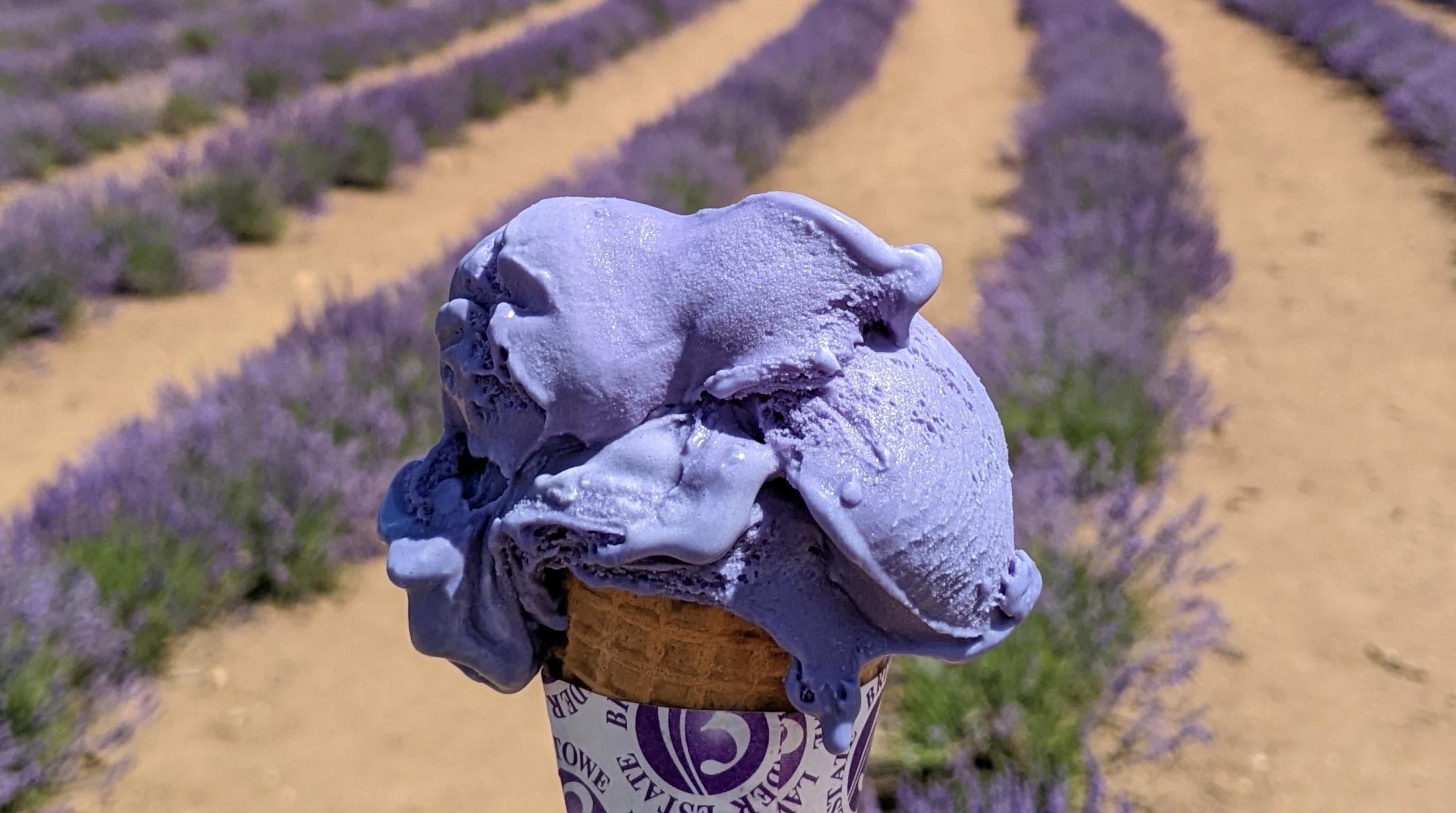 A user on Reddit posted about the ice cream they made from lavender at a real lavender field. (Photo: u/dogsandhalloween)
