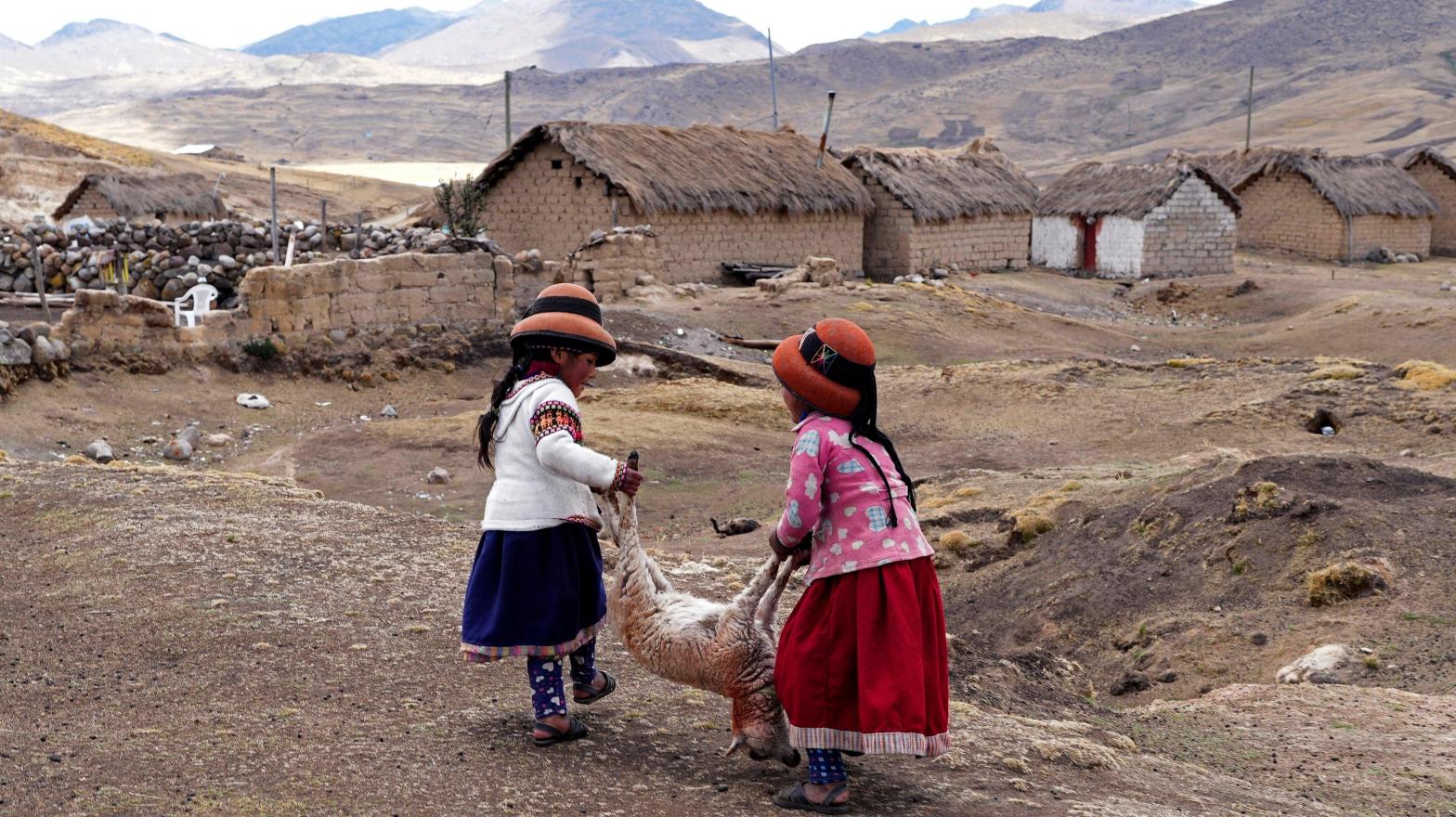 Girls carry the body of a dying sheep in the community near the Cconchaccota lagoon in the Apurimac region of Peru. (Photo: Guadalupe Pardo, AP)