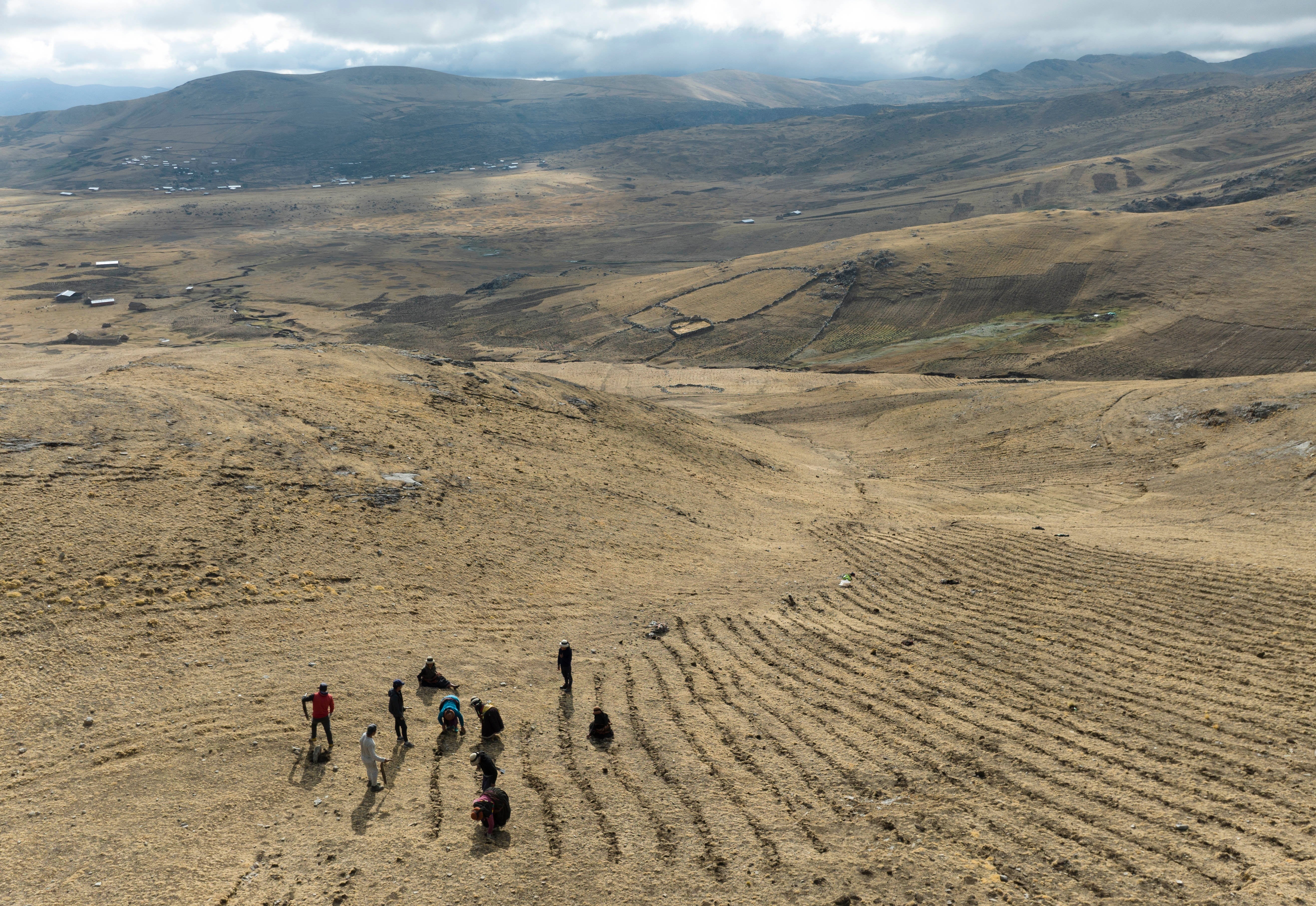 Residents harvest potatoes in a field near the Cconchaccota lagoon. (Photo: Guadalupe Pardo, AP)