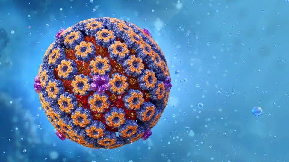 A illustration of a herpes simplex virus. (Illustration: Shutterstock, Shutterstock)