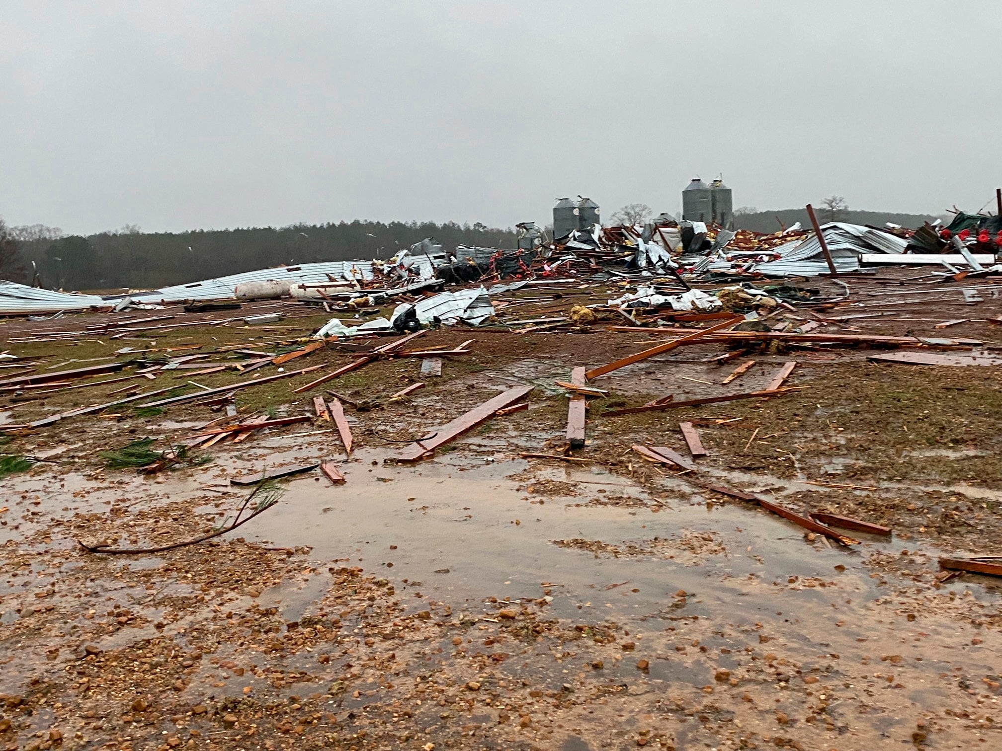 A destroyed chicken farm in Pelahatchi, Mississippi. (Photo: Rankin County Sheriff Bryan Bailey, AP)