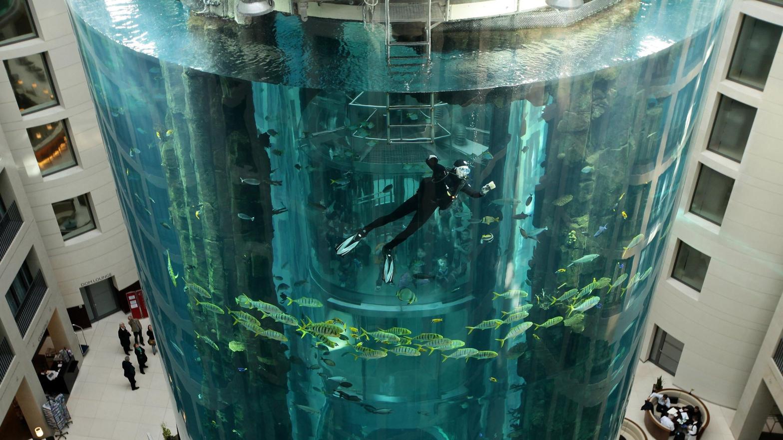 The AquaDom Aquarium in Berlin, Germany. (Photo: Sean Gallup, Getty Images)