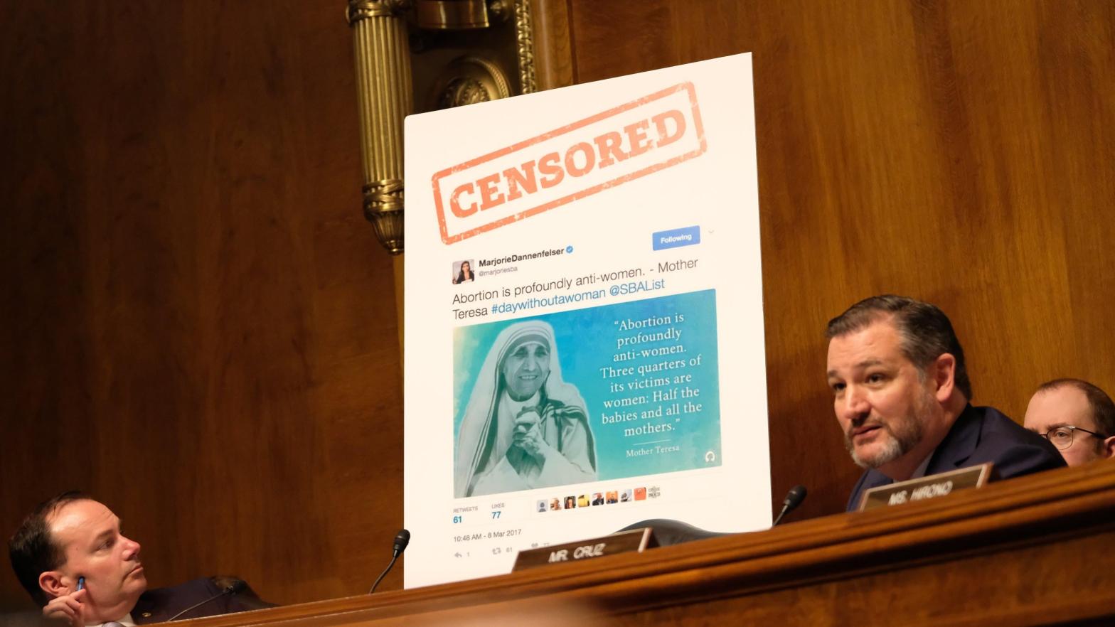 Texas Senator Ted Cruz discusses social media censorship at a committee hearing. (Photo: Alex Wroblewski, Getty Images)