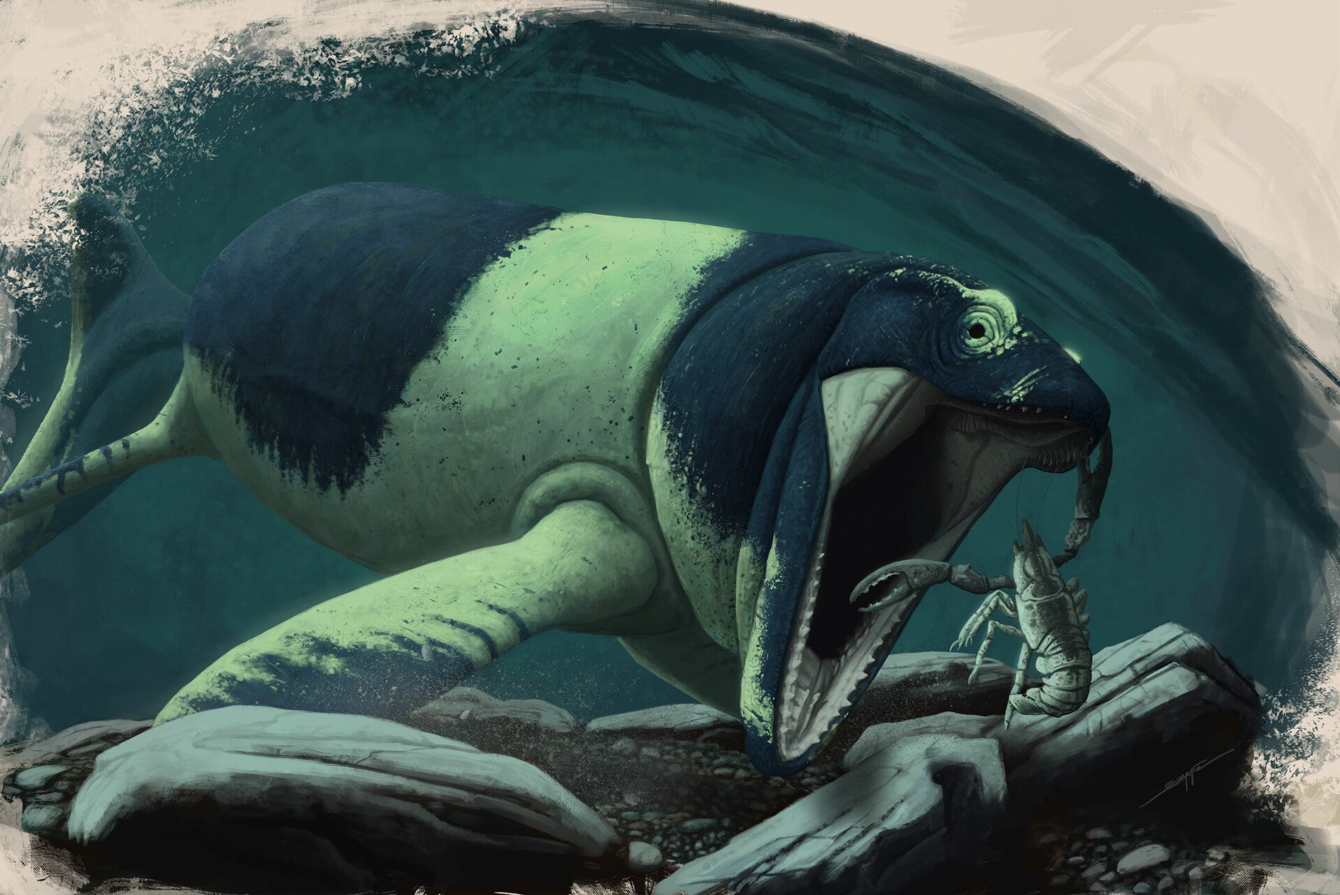 Paleoart representing the mosasaur Latoplatecarpus (Illustration: Hank Sharpe)