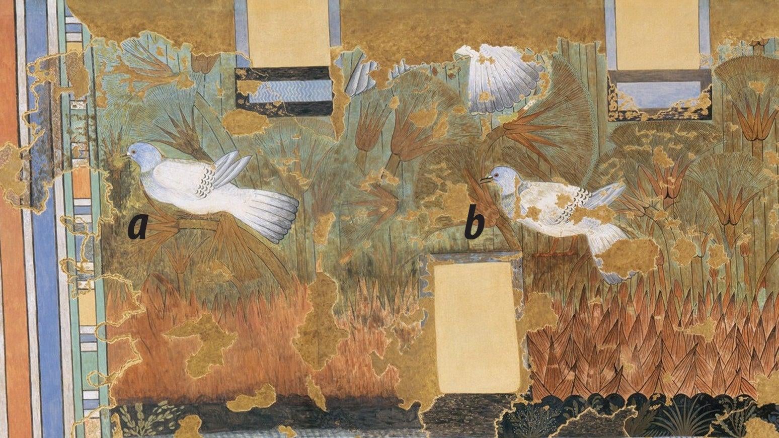 Ancient Egyptian Murals Show Lifelike Doves, Kingfishers, and Other Birds