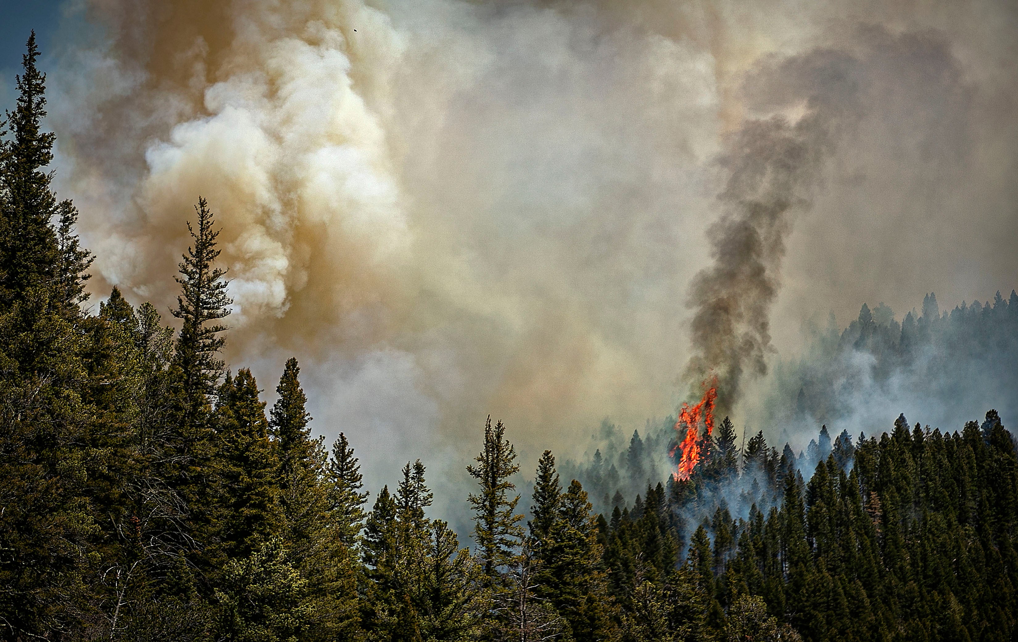 Fire rages east of highway 518 near the Taos County line as firefighters from all over the country converge on Northern New Mexico to battle the Hermit's Peak and Calf Canyon fires on May 13, 2022. (Photo: Jim Weber/Santa Fe New Mexican,   (AP))