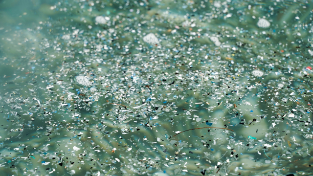 Eight Freshwater Streams in South Australia Found To Contain Microplastics for the First Time