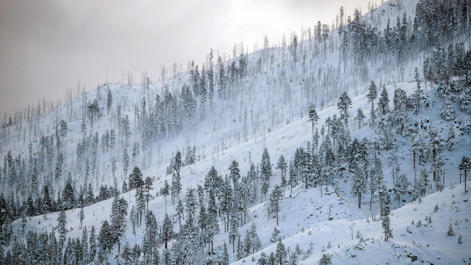 A coat of fresh snow is seen on a mountain the morning after a winter storm pelted the region with a large amount of snow, in South Lake Tahoe, Calif., Sunday, Jan. 1, 2023 (Photo: Stephen Lam/San Francisco Chronicle, AP)