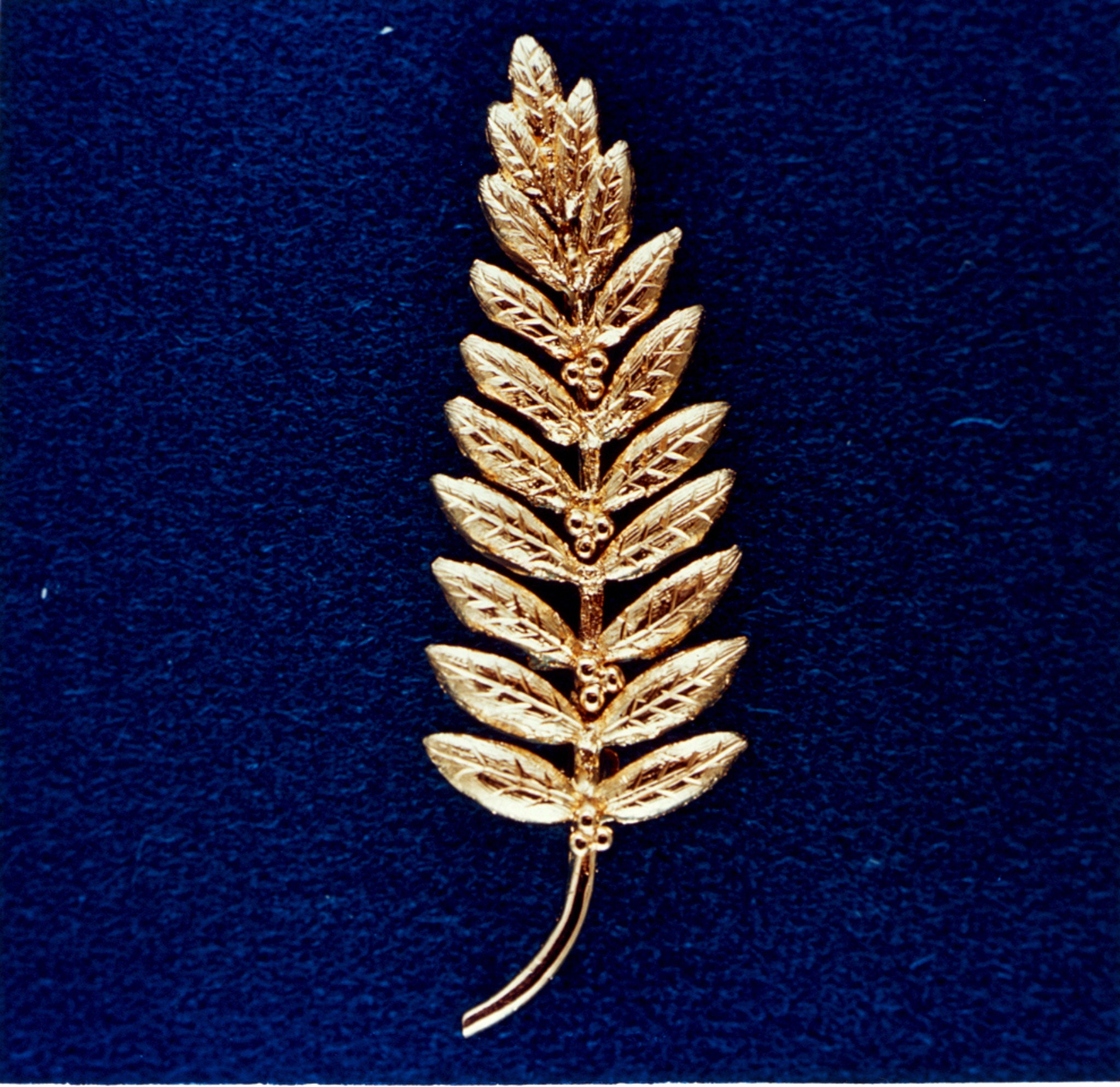 Replica of the gold olive branch deposited on the lunar surface during Apollo 11.  (Photo: NASA)