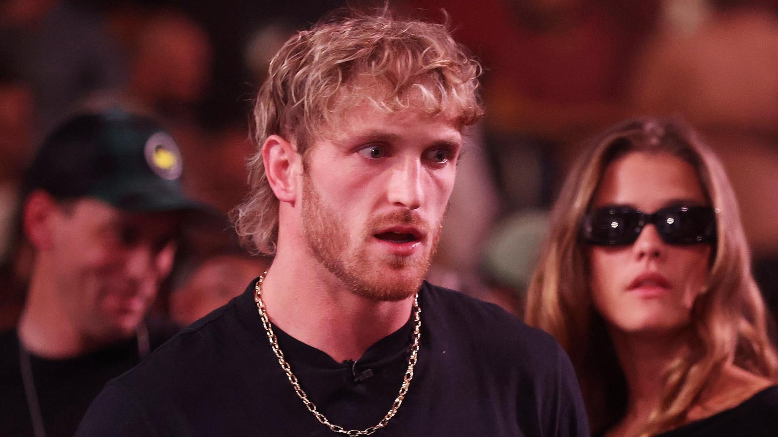 Logan Paul's CryptoZoo was a blockchain-based game where users could buy in game eggs to hatch into hybrid animals.  (Image: Christian Petersen, Getty Images)