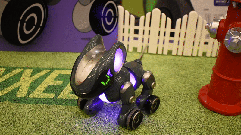 The Pyxel robot can be programmed to do tricks like spin in a cirlce. (Gif: Kyle Barr/Gizmodo)