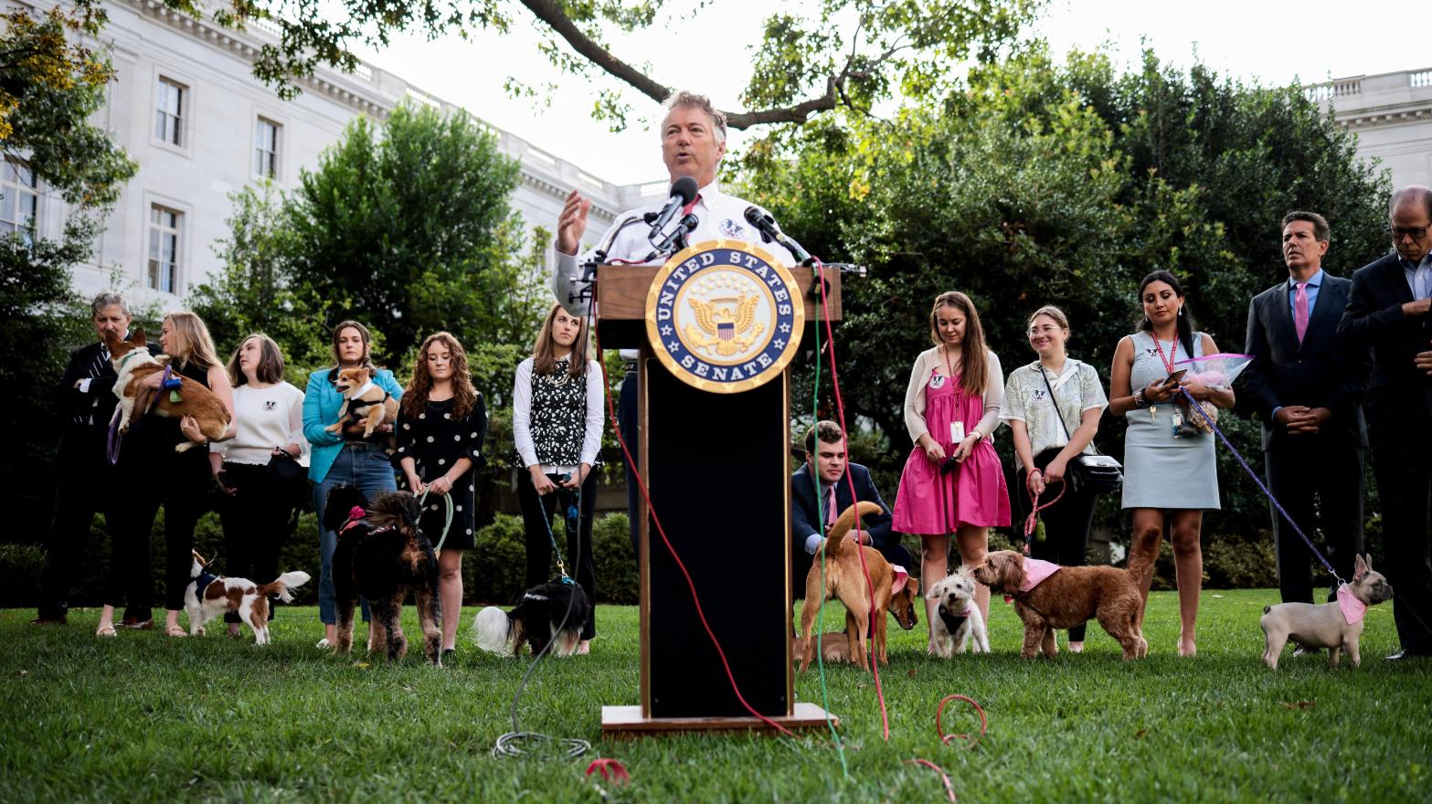 Senate staff members and their dogs look on as Sen. Rand Paul (R-KY) speaks at a press conference on his FDA Modernisation Act on Capitol Hill on October 07, 2021 in Washington, DC.  (Photo: Anna Moneymaker, Getty Images)
