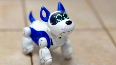 Is It Ethical to Kick a Robot Dog?