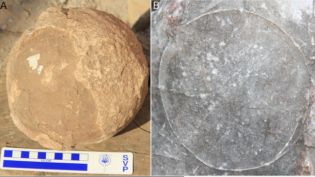 Nearly 100 Titanosaur Nests, Complete With Fossilised Eggs, Found in India