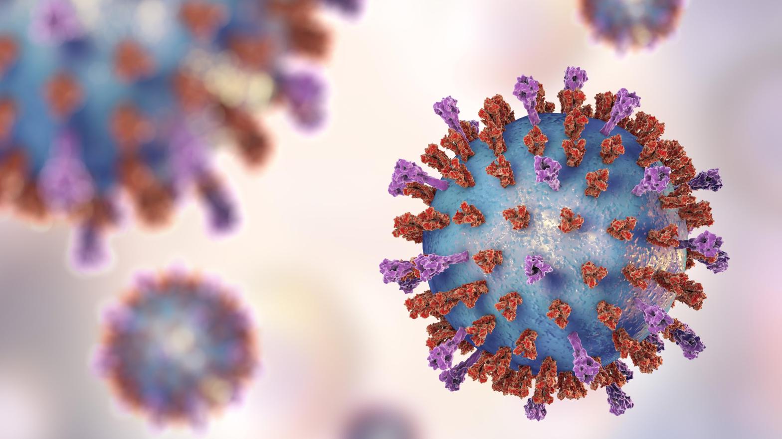 A 3D illustration of the Respiratory syncytial virus (RSV),  (Illustration: Shutterstock, Shutterstock)