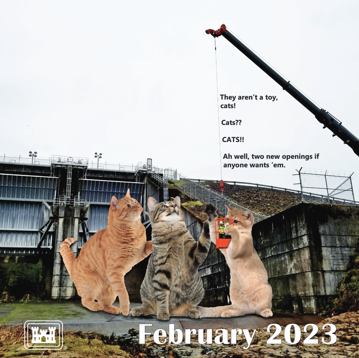 The Army Corps of Engineers Made a 2023 Cat Calendar, and It’s Glorious