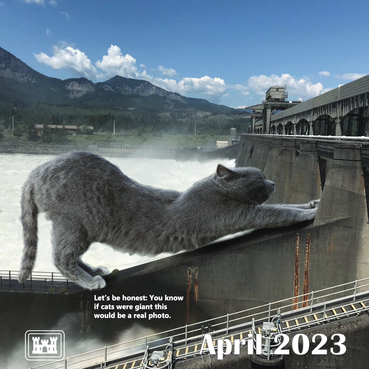 The Army Corps of Engineers Made a 2023 Cat Calendar, and It’s Glorious