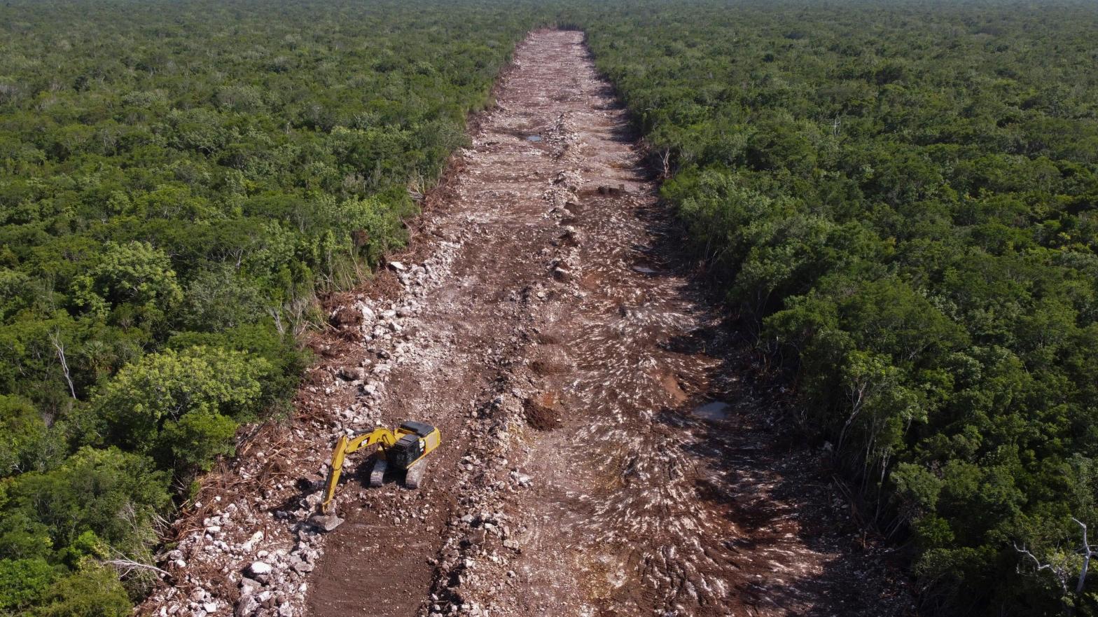 A bulldozer clears an area of forest that will be the line of the Maya Train in Puerto Morelos, Quintana Roo state, Mexico, Tuesday, August. 2, 2022.  (Photo: Eduardo Verdugo, AP)