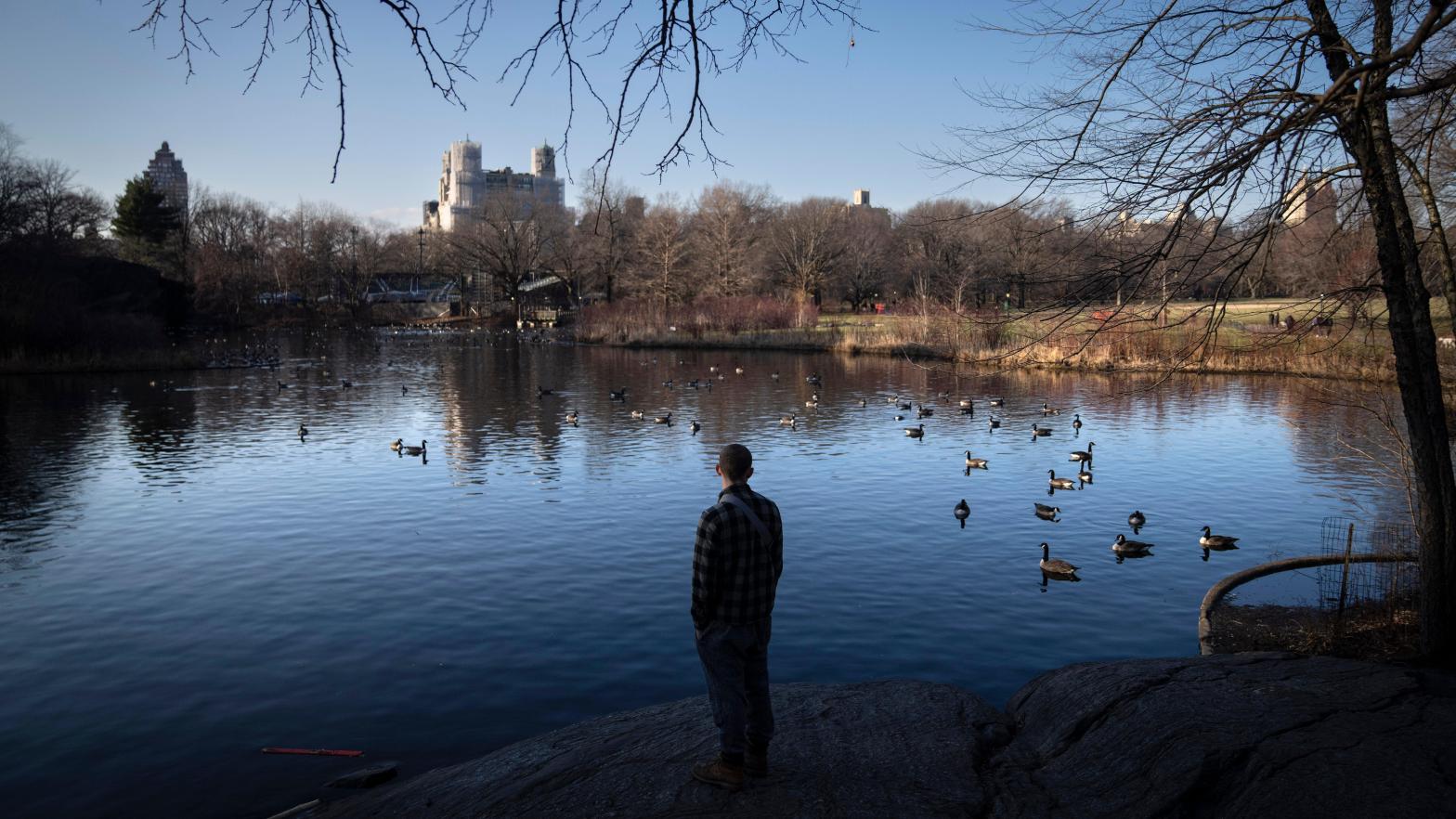 A visitor stands in Central Park on January 30, 2023.  (Photo: John Minchillo, AP)