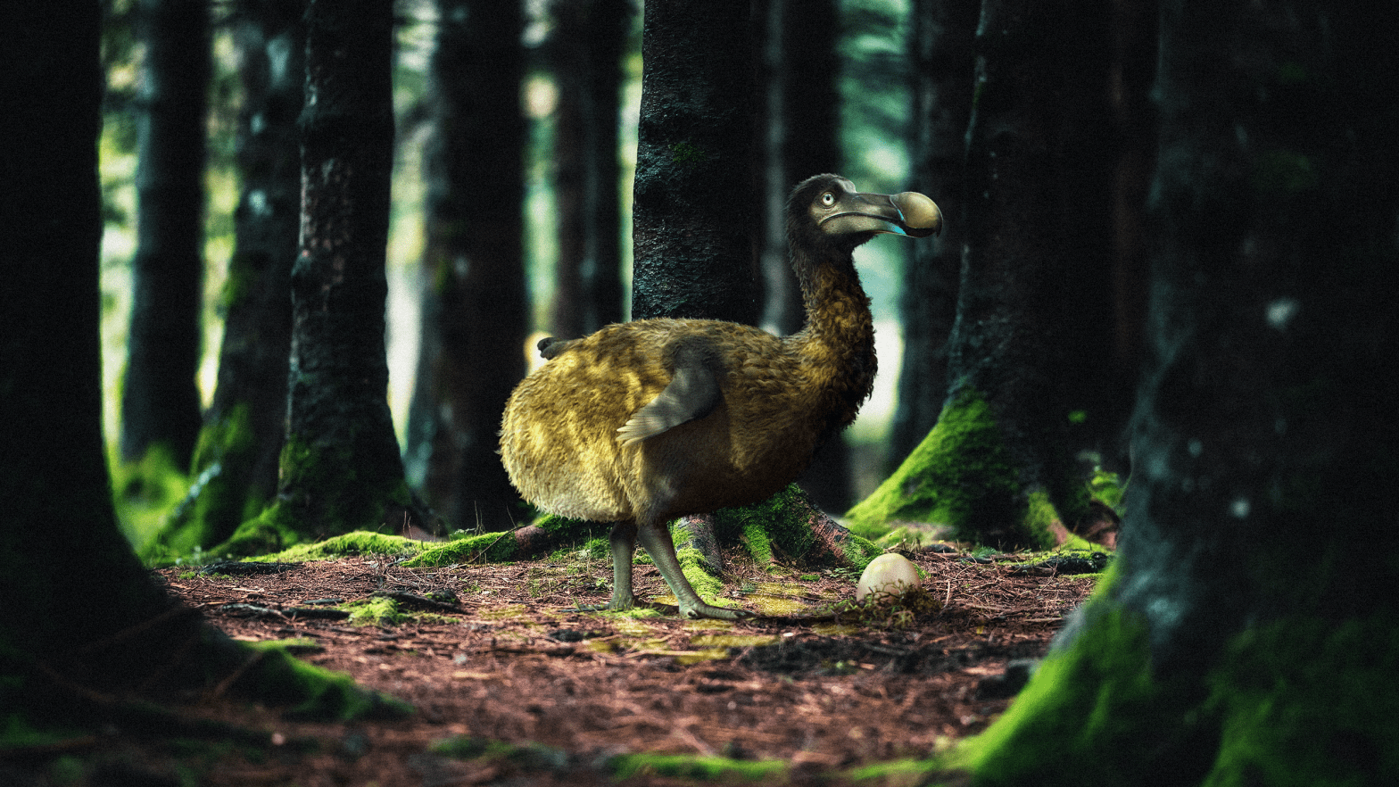 An artist's imagining of the dodo bird, which went extinct in the 17th century. (Illustration: Colossal Biosciences)