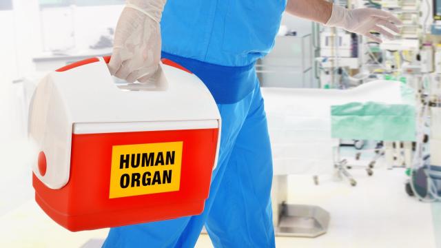 Dystopian U.S. Bill Offers Inmates a Year off Their Sentences if They Donate Organs