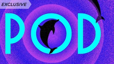 A Dolphin Charts Her Own Destiny in Laline Paull’s New Immersive Novel, Pod