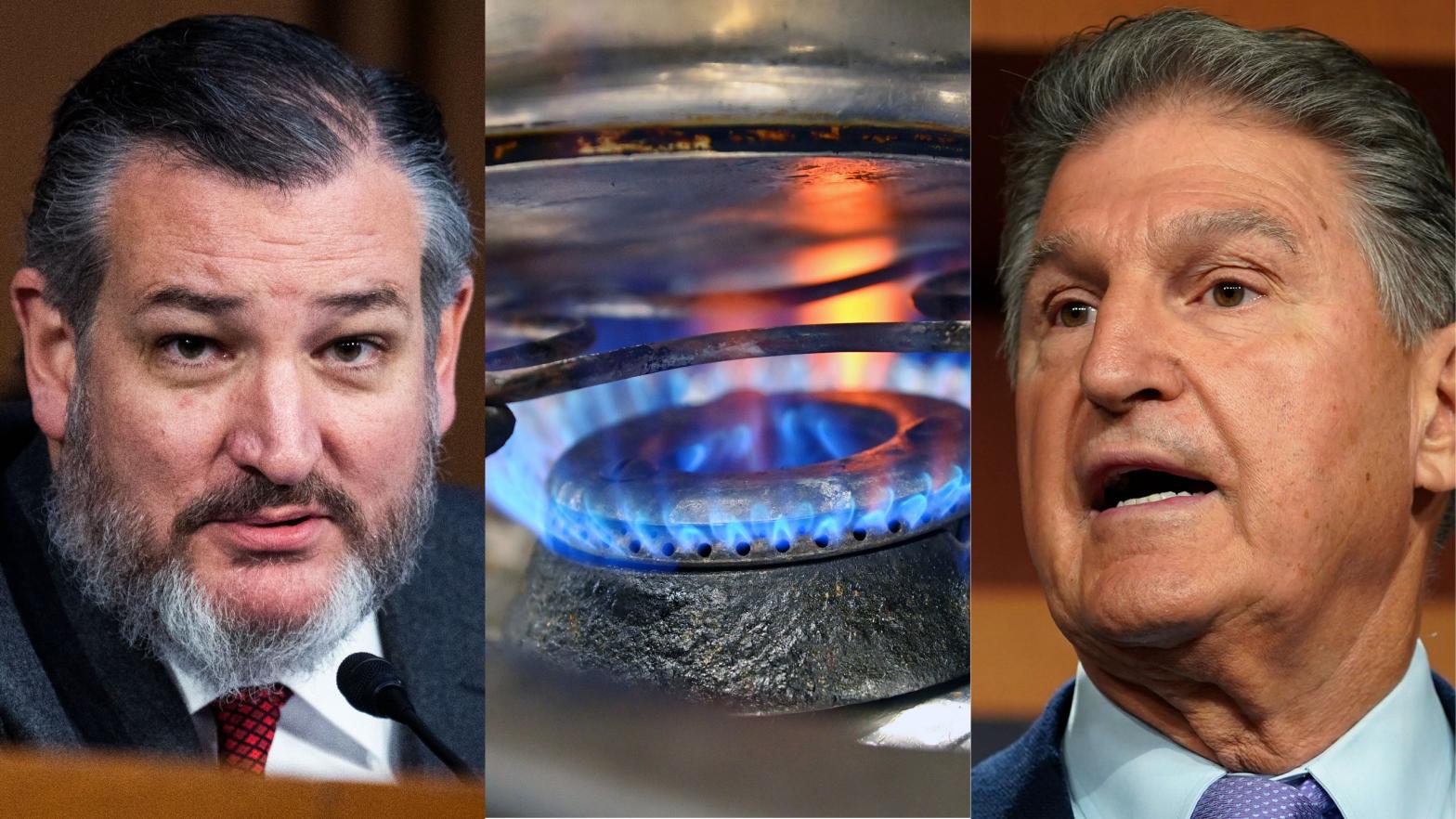 Senators Ted Cruz and Joe Manchin: An alliance forged in (methane fuelled) flames.  (Photo: AP / Gizmodo, AP)
