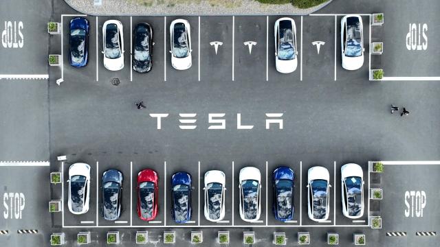 Tesla’s Autopilot Workers Tell Elon They Want to Unionise