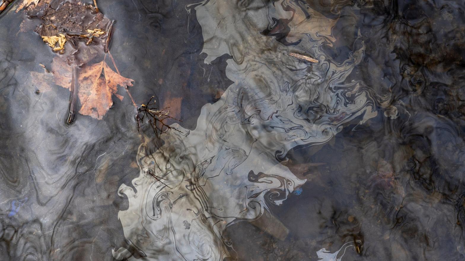 Chemicals float on the top of the water in Leslie Run creek after being agitated from the sediment on the bottom of the creek on February 20, 2023 in East Palestine, Ohio. (Photo: Michael Swensen, Getty Images)
