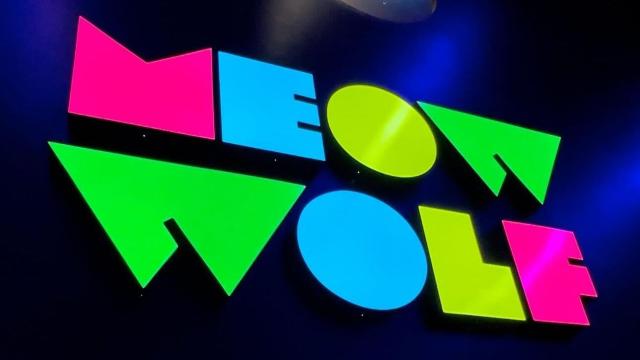 Take Us to the Future if It’s Going to Look Like Meow Wolf
