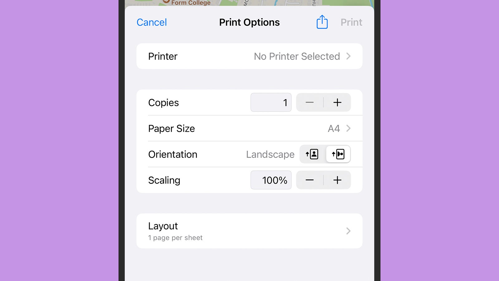 The options you see will depend on the app you're printing from. (Screenshot: iOS)
