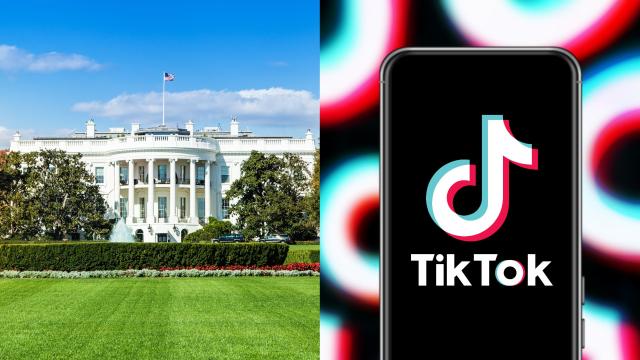 White House to Federal Employees: You Have 30 Days to Delete TikTok
