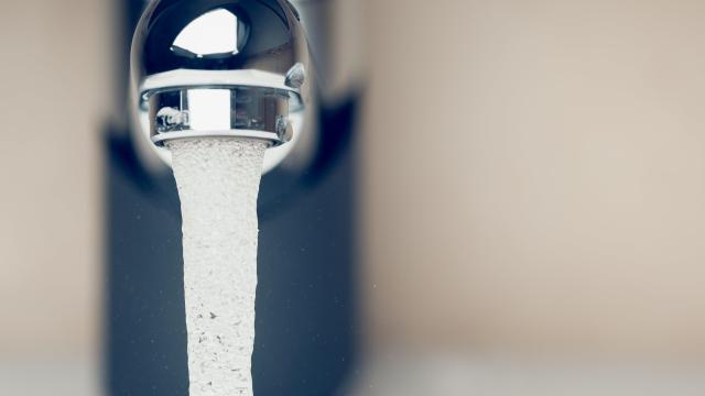 Florida Man Dies from Rare Brain-Eating Infection Caught From Tap Water