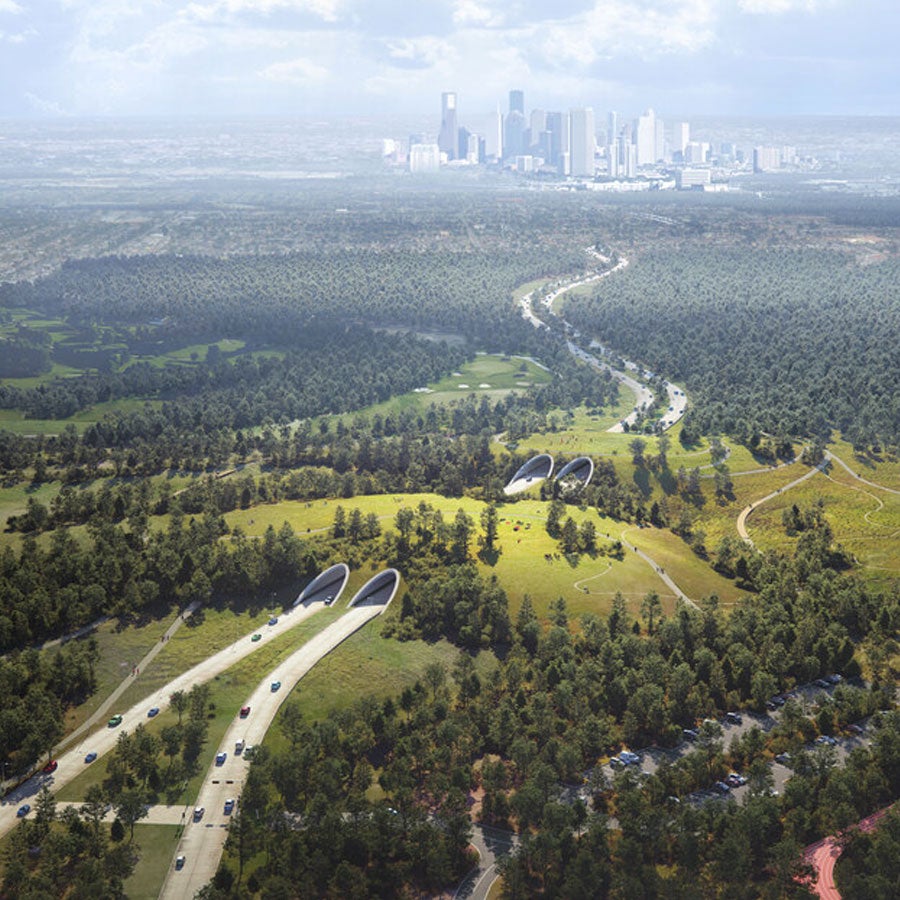 Future Highways Don’t Have to Divide Neighbourhoods or Nature