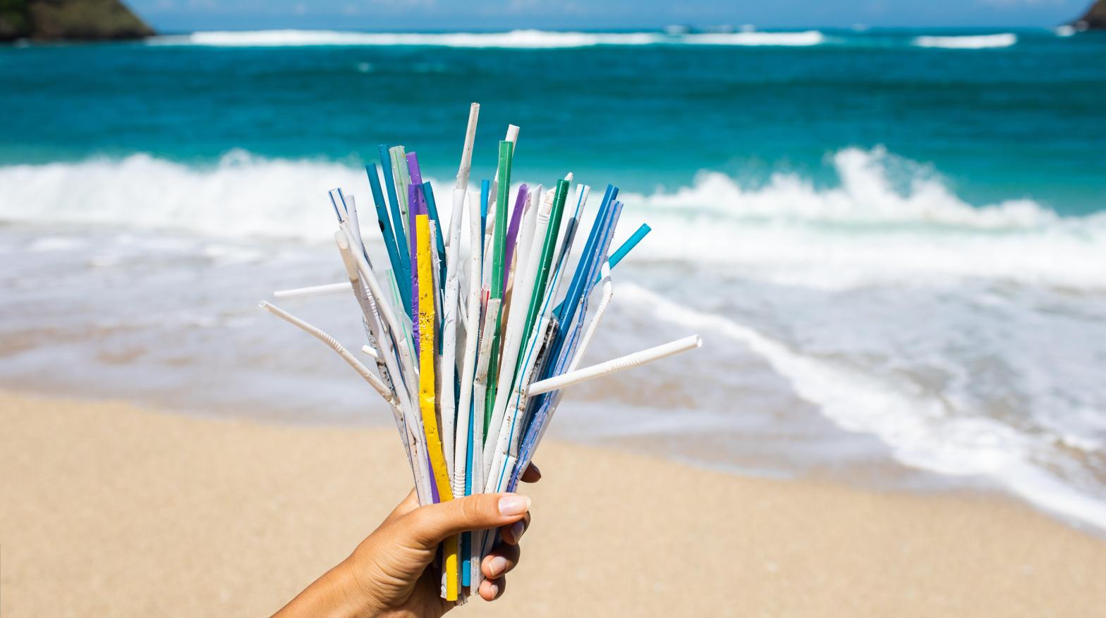 Traditional plastic is made with crude oil or natural gas, but bioplastic might not be the safest alternative.  (Image: Breslavtsev Oleg, Shutterstock)