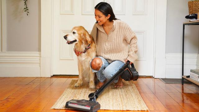 You’d Be a Sucker to Miss This Vacuum Sale, With up to 40% Off Miele Right Now