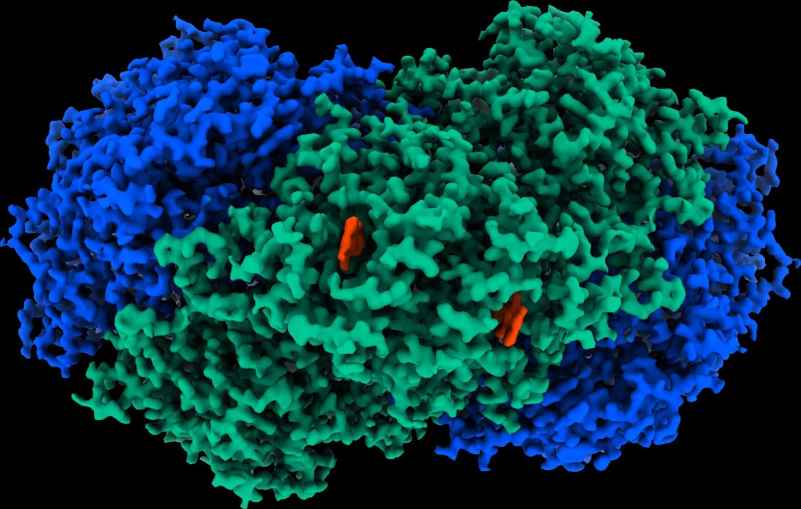 A microscope image of the Huc enzyme. (Image: Rhys Grinter)