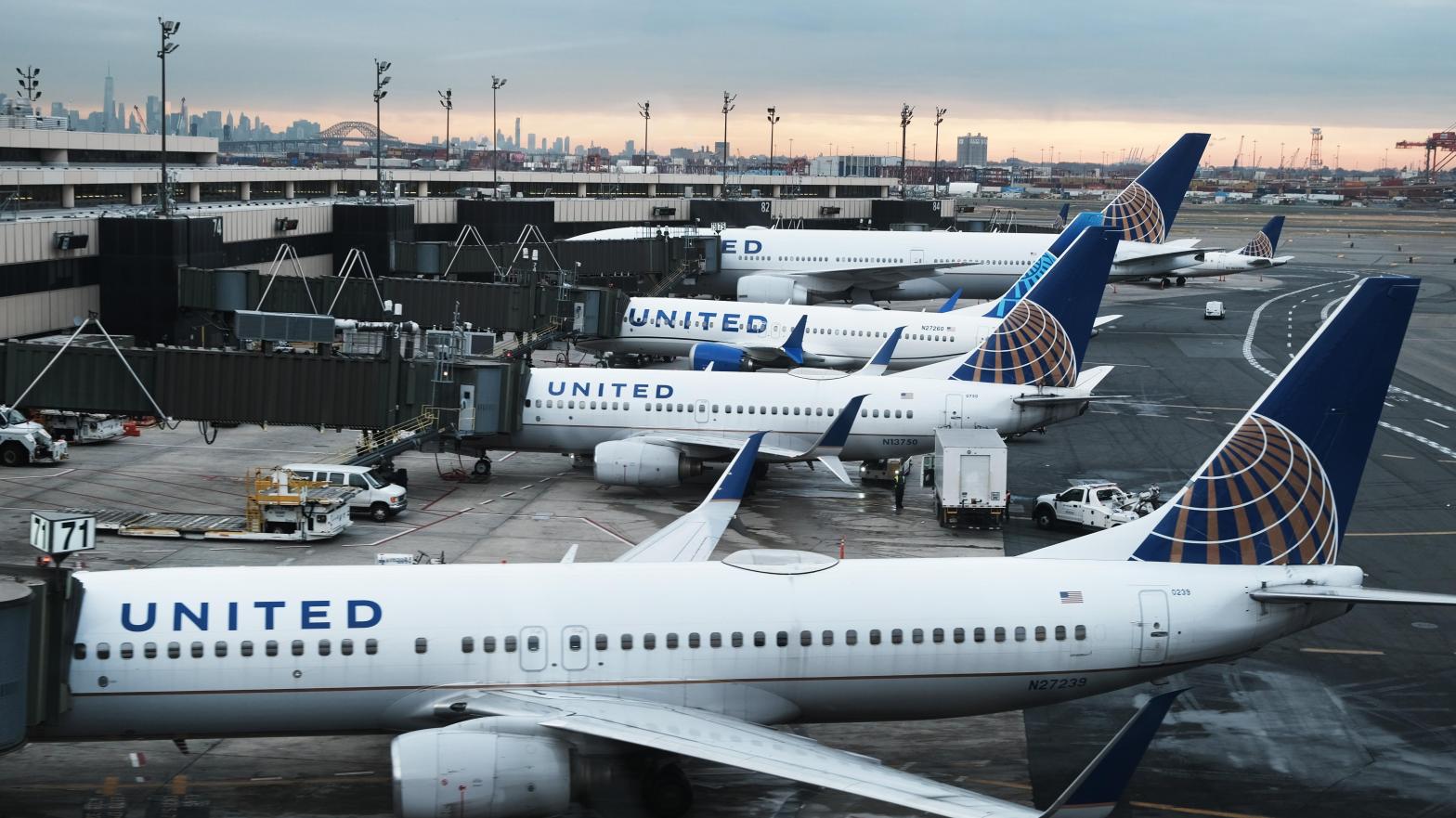 Planes await passengers at Newark Liberty International Airport. In 2006, a pilot mistakenly landed a commercial aeroplane on a taxiway at the airport instead of the designated runway (Image: Spencer Platt, Getty Images)