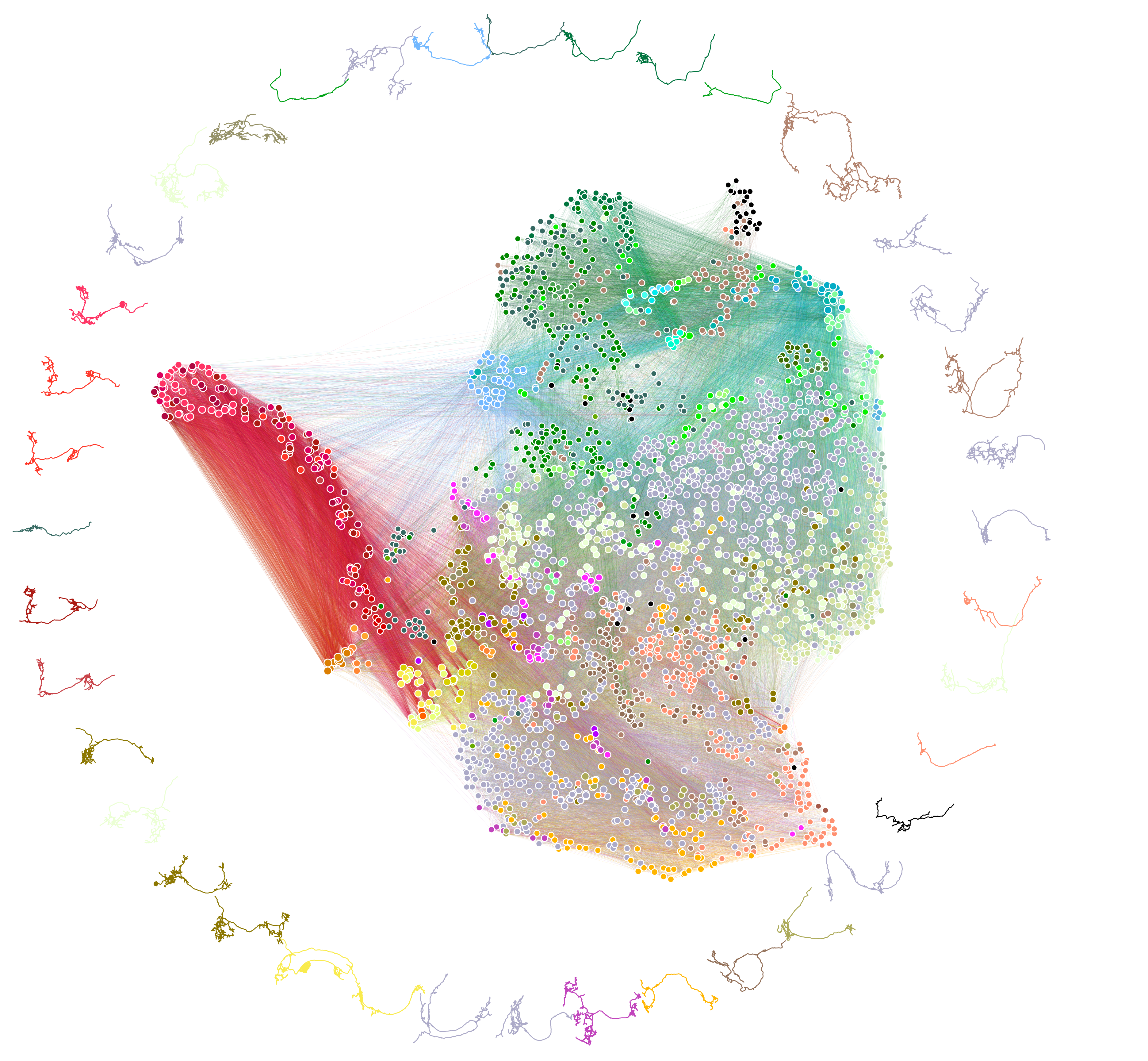 In this network diagram of the larval connectome, points are neurons and lines are synaptic connections. Along the border are examples of some of the many different neuron morphologies (i.e. shapes) the researchers found.  (Graphic: Johns Hopkins University/Cambridge University)