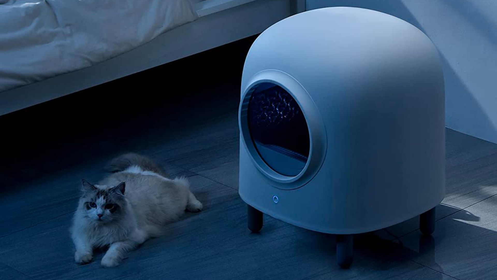 Self cleaning litter box by Petree